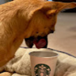 Meet your Posher, Elly